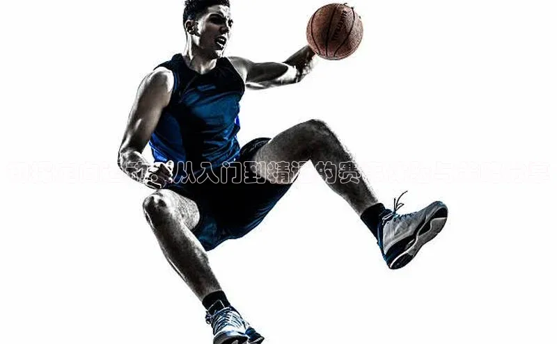 金年会·会官方入口登录