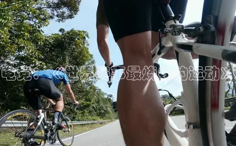 金年会官方网站入口